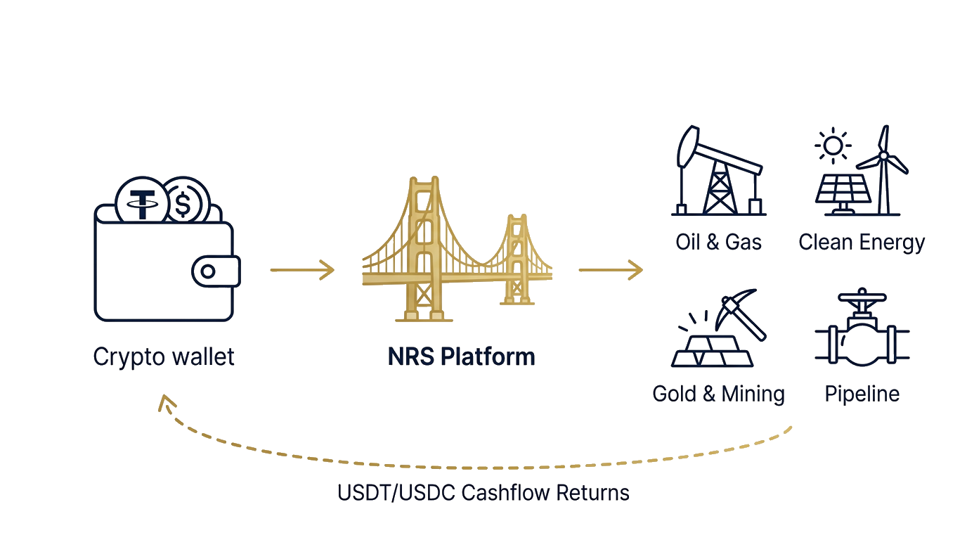 NRS Platform flow: stablecoins through bridge to real assets and cashflow returns